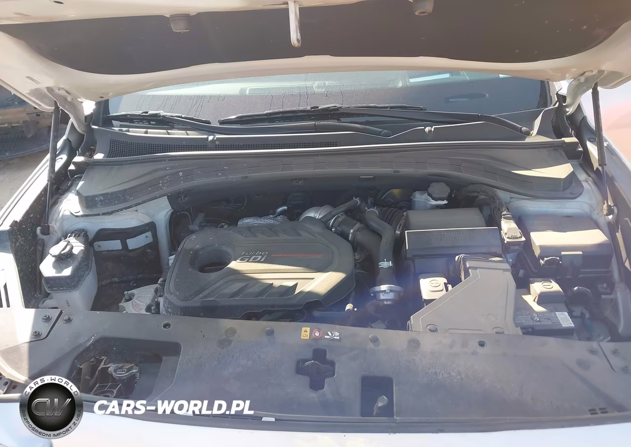 2019 Hyundai Santa Fe Ultimate 2.0T VIN:5NMS5CAA1KH069284 - 10