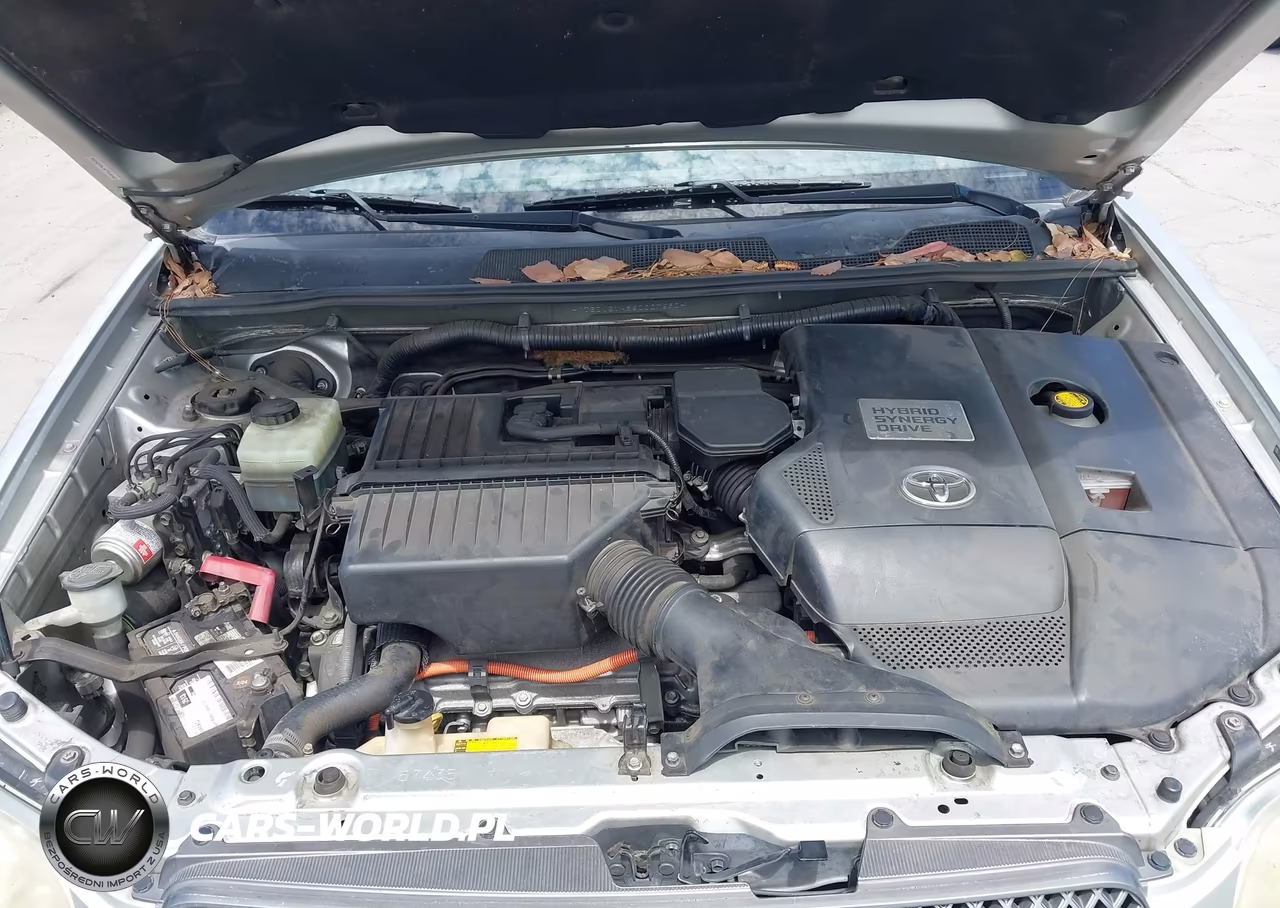 2006 Toyota Highlander Hybrid Limited V6 VIN:JTEDW21A860007690 - 10