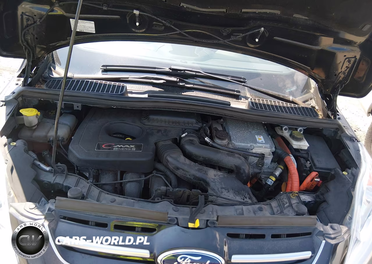 2013 Ford C-Max Energi Sel VIN:1FADP5CU6DL545994 - 10