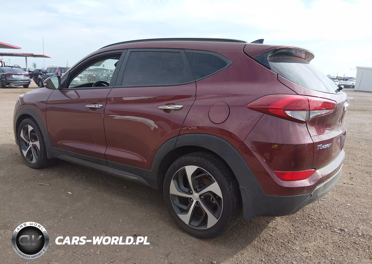 2016 Hyundai Tucson Limited VIN:KM8J33A2XGU159698 - 3