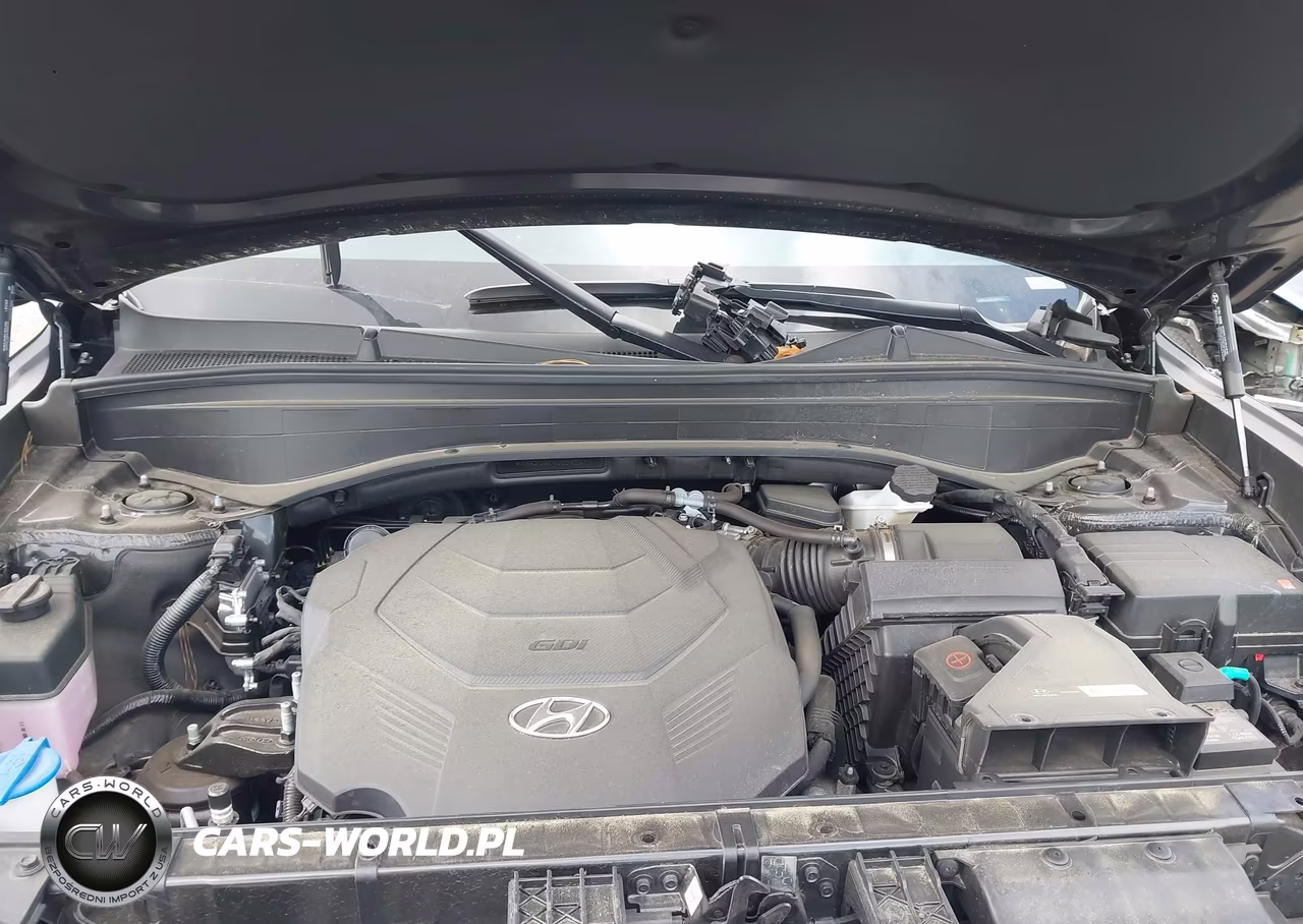 2025 Hyundai Palisade Sel VIN:KM8R2DGE4SU945471 - 10