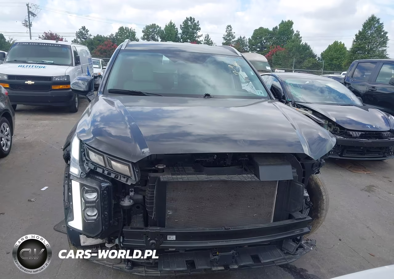 2025 Hyundai Palisade Sel VIN:KM8R2DGE4SU945471 - 12