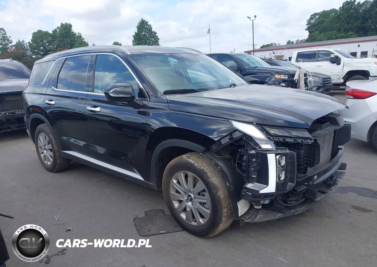 2025 Hyundai Palisade Sel VIN:KM8R2DGE4SU945471 - 13