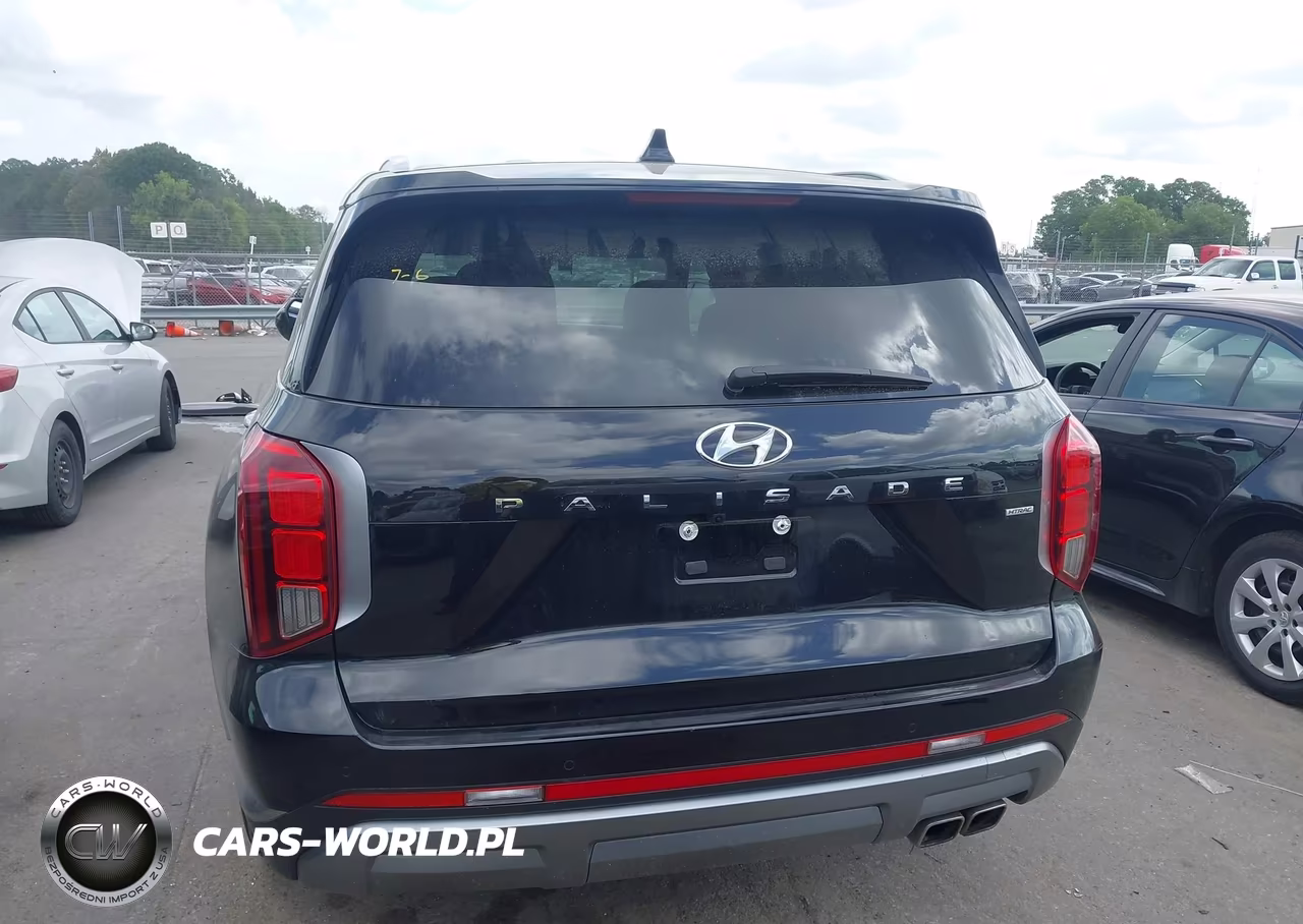 2025 Hyundai Palisade Sel VIN:KM8R2DGE4SU945471 - 16