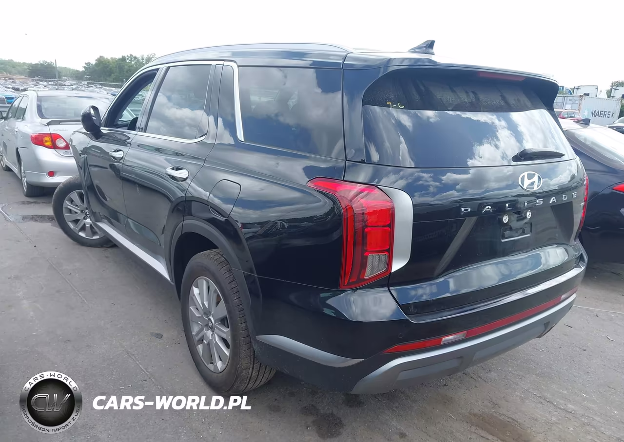 2025 Hyundai Palisade Sel VIN:KM8R2DGE4SU945471 - 3