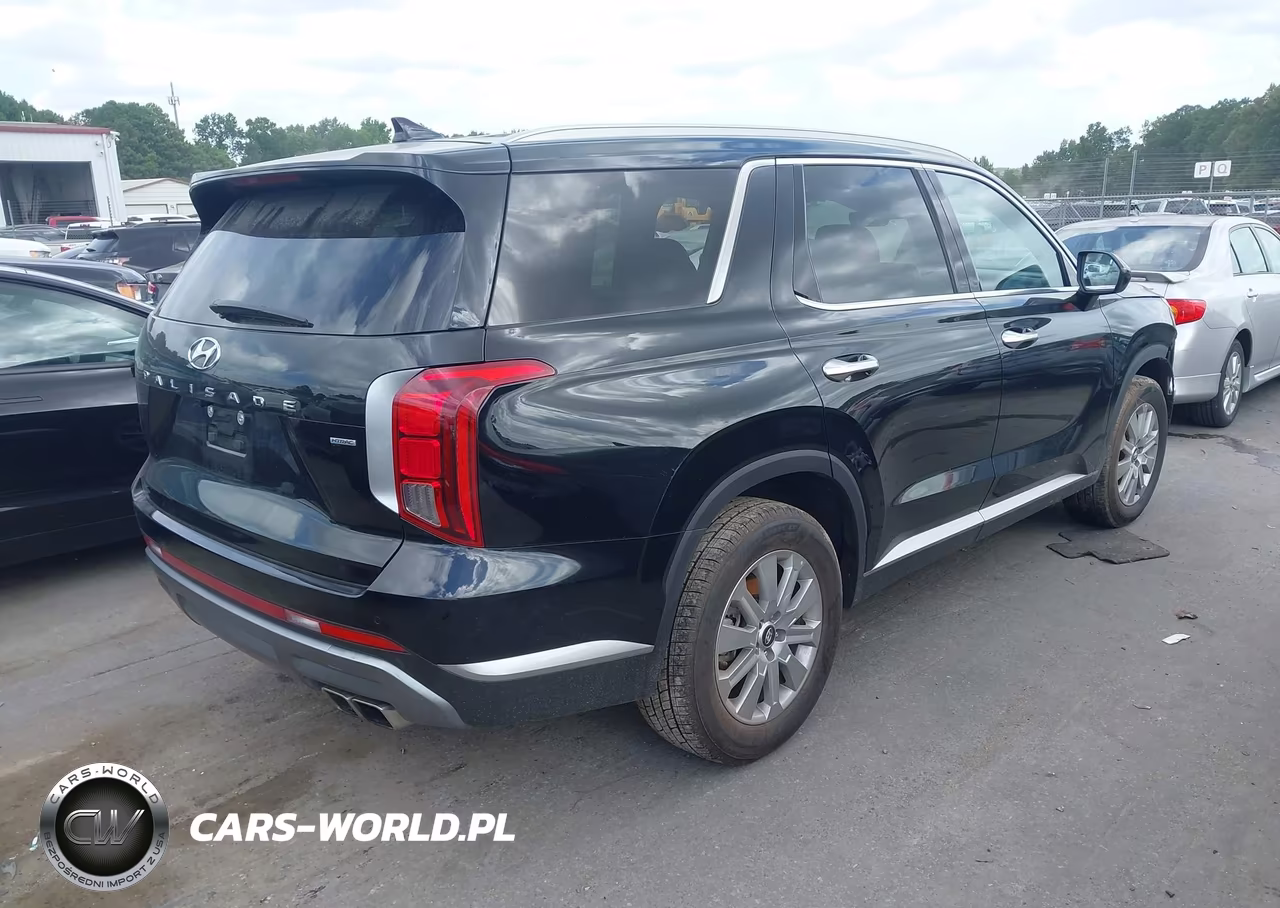 2025 Hyundai Palisade Sel VIN:KM8R2DGE4SU945471 - 4