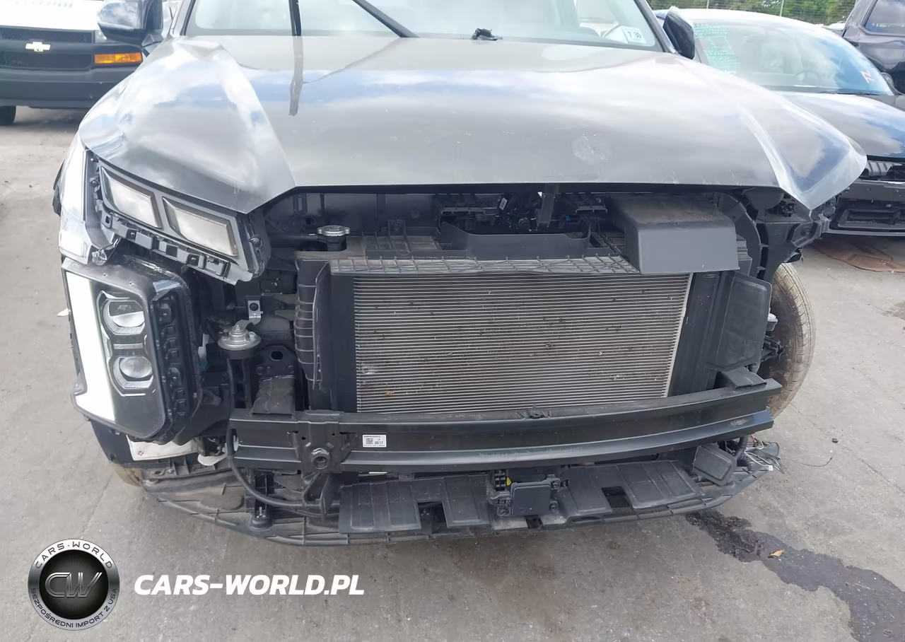 2025 Hyundai Palisade Sel VIN:KM8R2DGE4SU945471 - 6