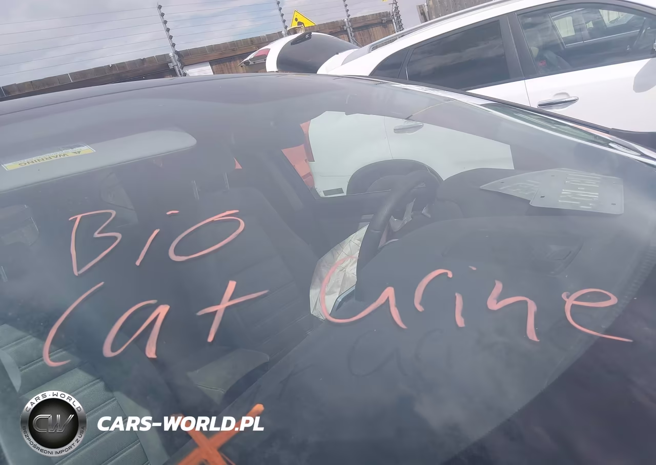 2019 Honda Cr-V Lx VIN:2HKRW6H38KH207149 - 6