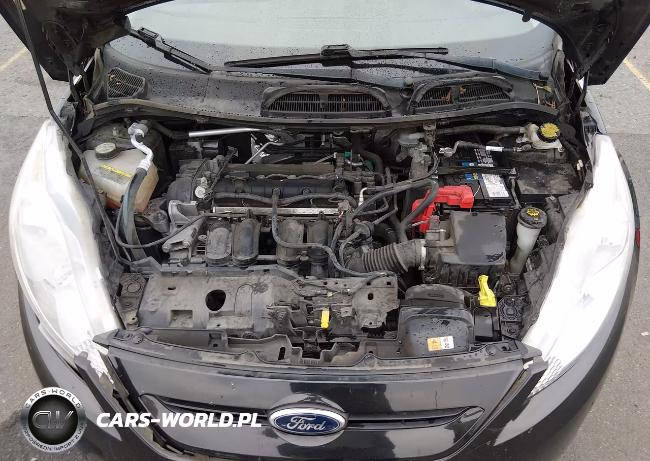 2013 Ford Fiesta Se VIN:3FADP4EJ3DM141336 - 10