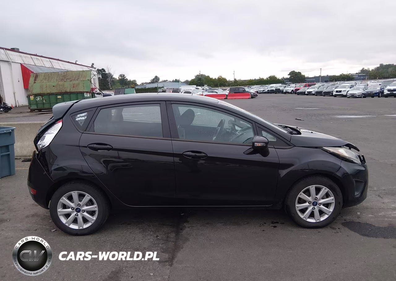 2013 Ford Fiesta Se VIN:3FADP4EJ3DM141336 - 13