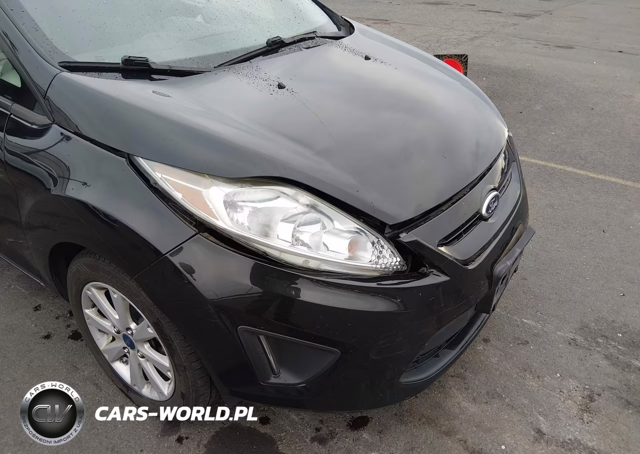 2013 Ford Fiesta Se VIN:3FADP4EJ3DM141336 - 17