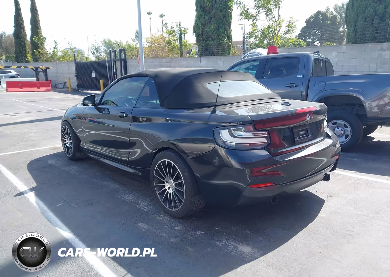 2016 BMW M235I VIN:WBA1M1C57GV394239 - 3