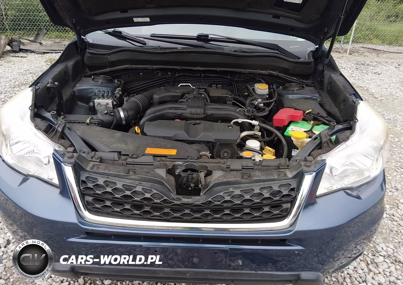 2014 Subaru Forester 2.5I VIN:JF2SJAACXEH536677 - 10