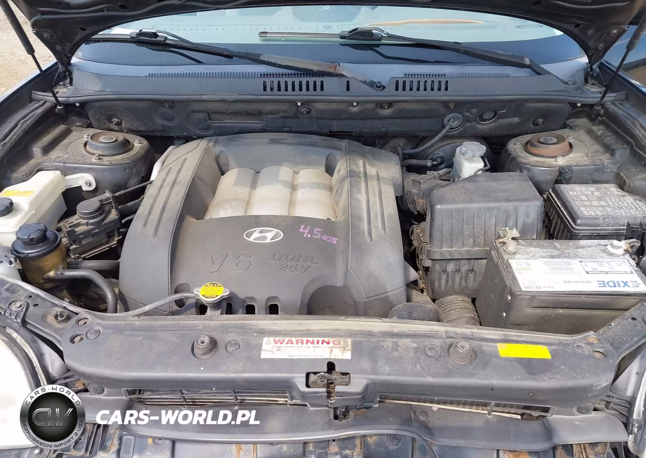 2005 Hyundai Santa Fe Gls VIN:KM8SC73D85U979463 - 10