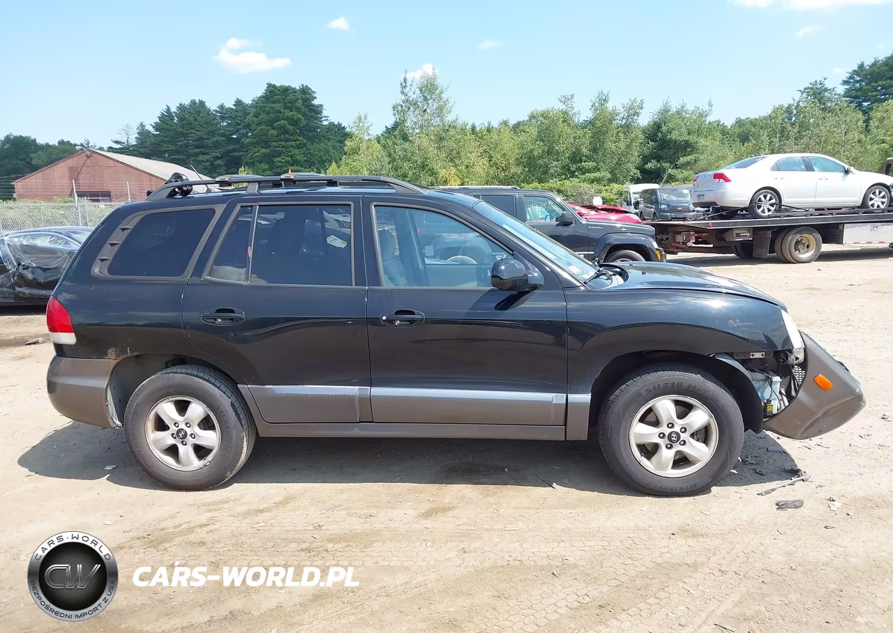 2005 Hyundai Santa Fe Gls VIN:KM8SC73D85U979463 - 14