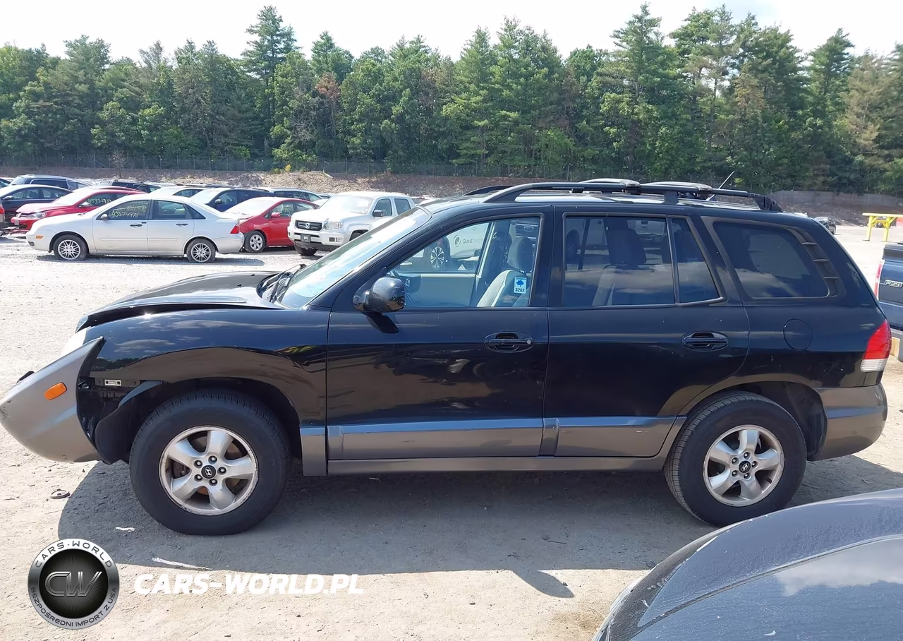 2005 Hyundai Santa Fe Gls VIN:KM8SC73D85U979463 - 15