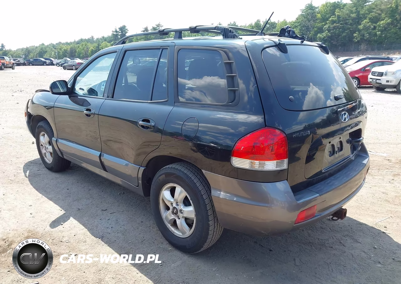 2005 Hyundai Santa Fe Gls VIN:KM8SC73D85U979463 - 3