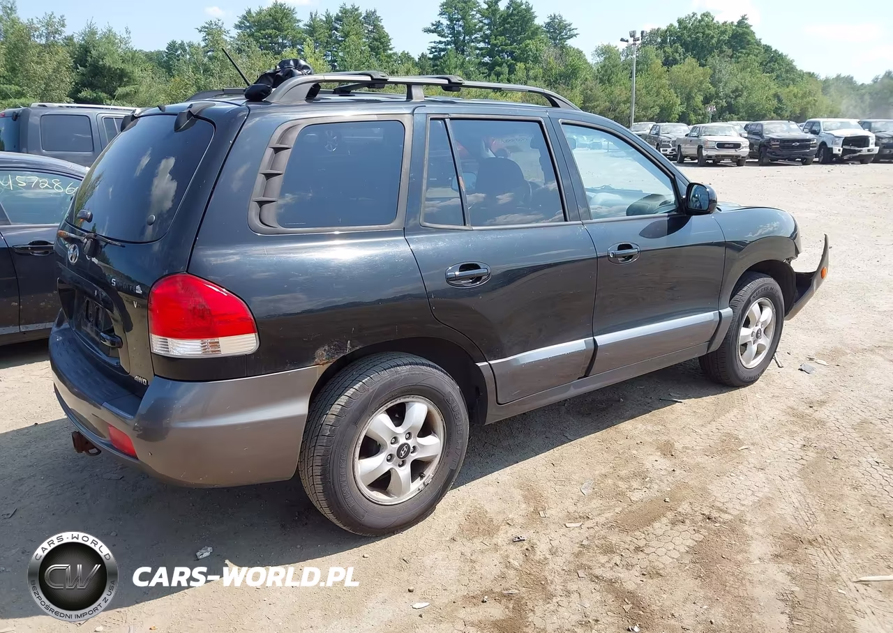 2005 Hyundai Santa Fe Gls VIN:KM8SC73D85U979463 - 4