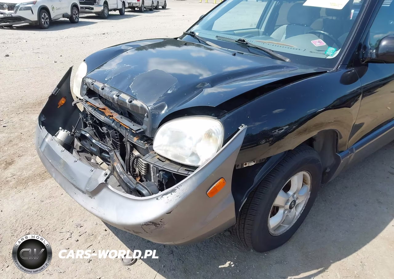 2005 Hyundai Santa Fe Gls VIN:KM8SC73D85U979463 - 6