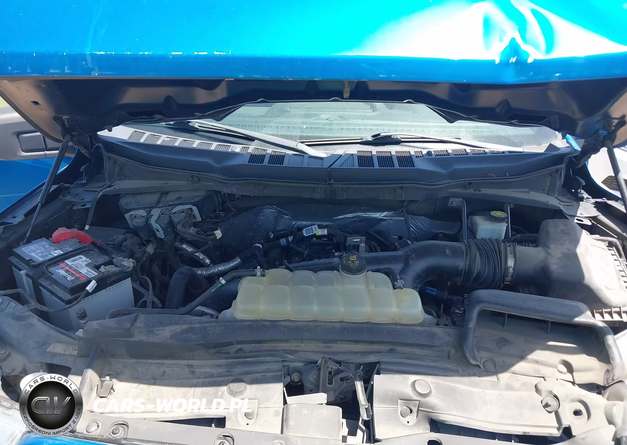 2021 Ford F-150 Xl VIN:1FTEW1CP3MKE04505 - 10
