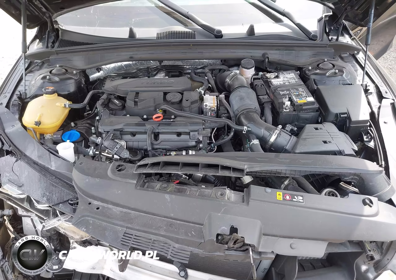 2024 Kia K5 Gt-Line VIN:5XXG64J25RG231105 - 10