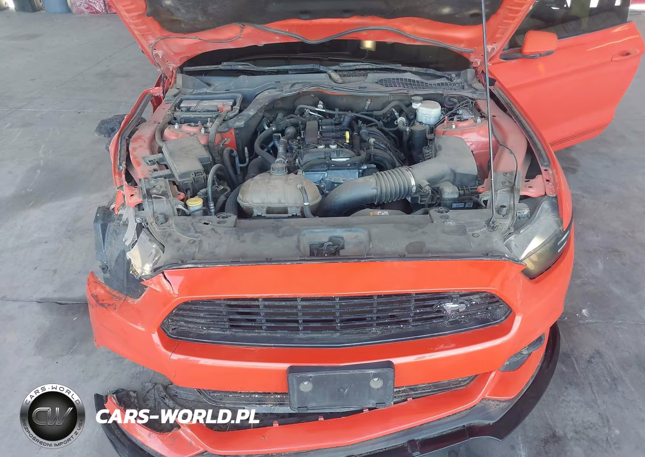 2016 Ford Mustang Ecoboost VIN:1FA6P8TH3G5245481 - 10