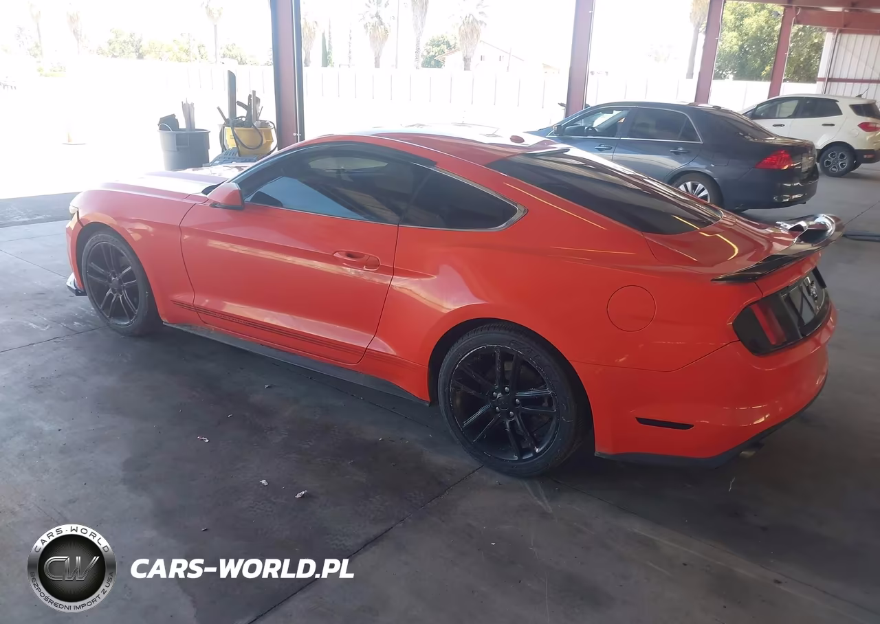 2016 Ford Mustang Ecoboost VIN:1FA6P8TH3G5245481 - 3
