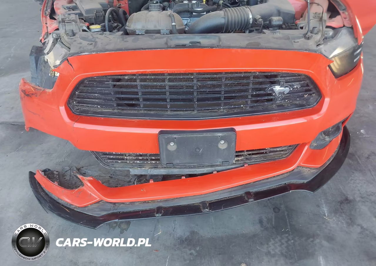 2016 Ford Mustang Ecoboost VIN:1FA6P8TH3G5245481 - 6