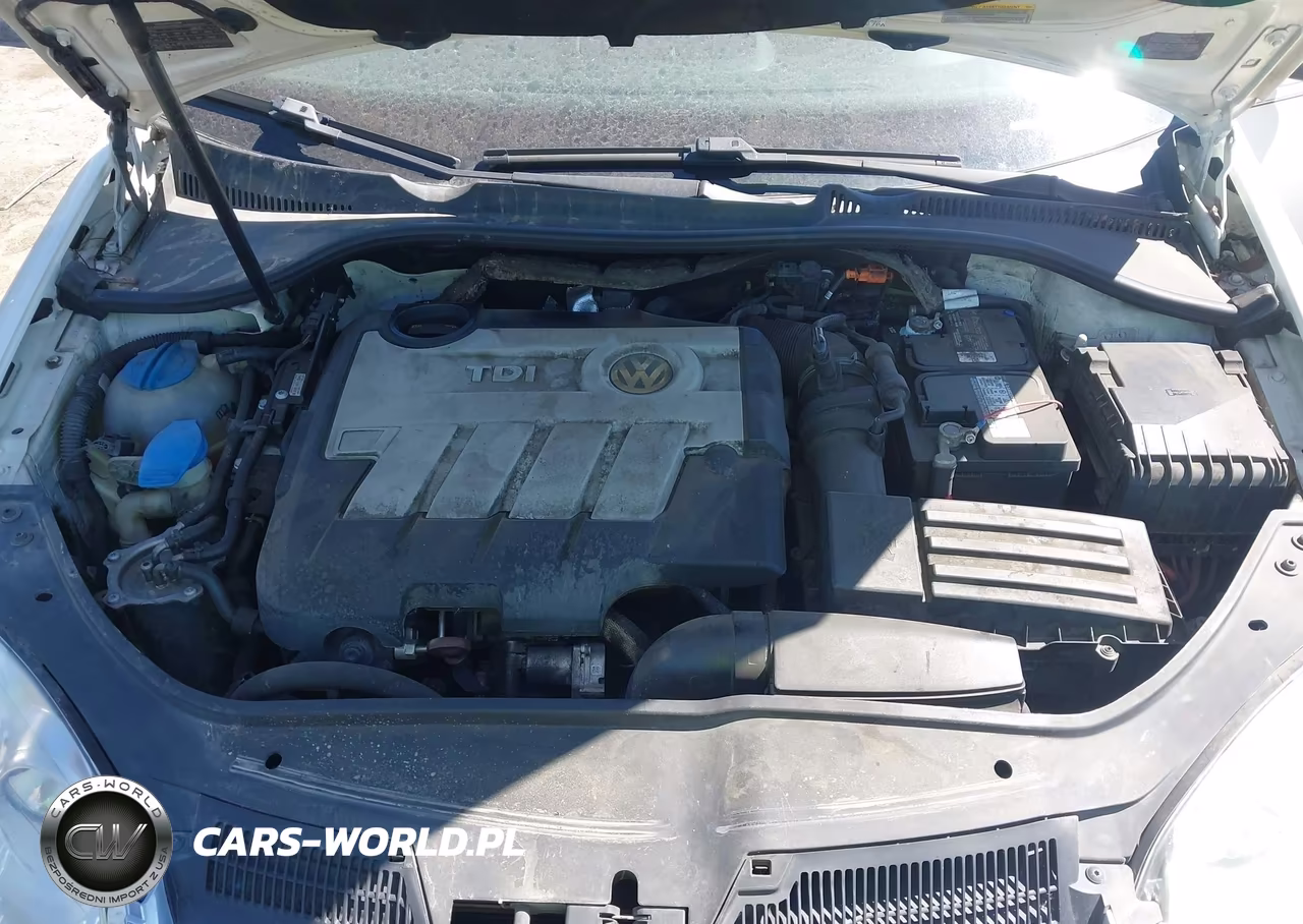 2009 Volkswagen Jetta Tdi Loyal Edition VIN:3VWCL71K49M001222 - 10