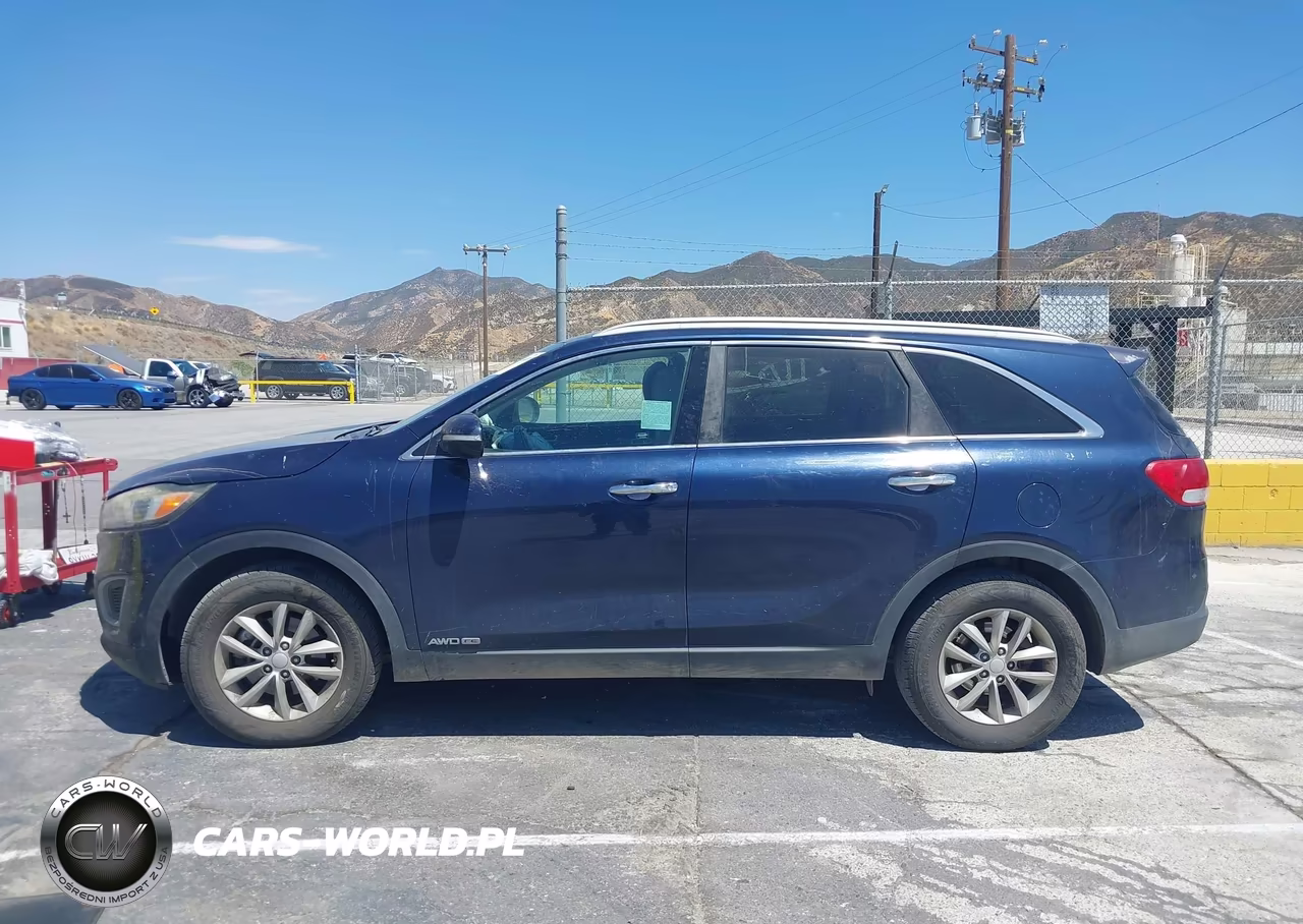 2017 Kia Sorento 3.3L Lx VIN:5XYPGDA55HG334090 - 17