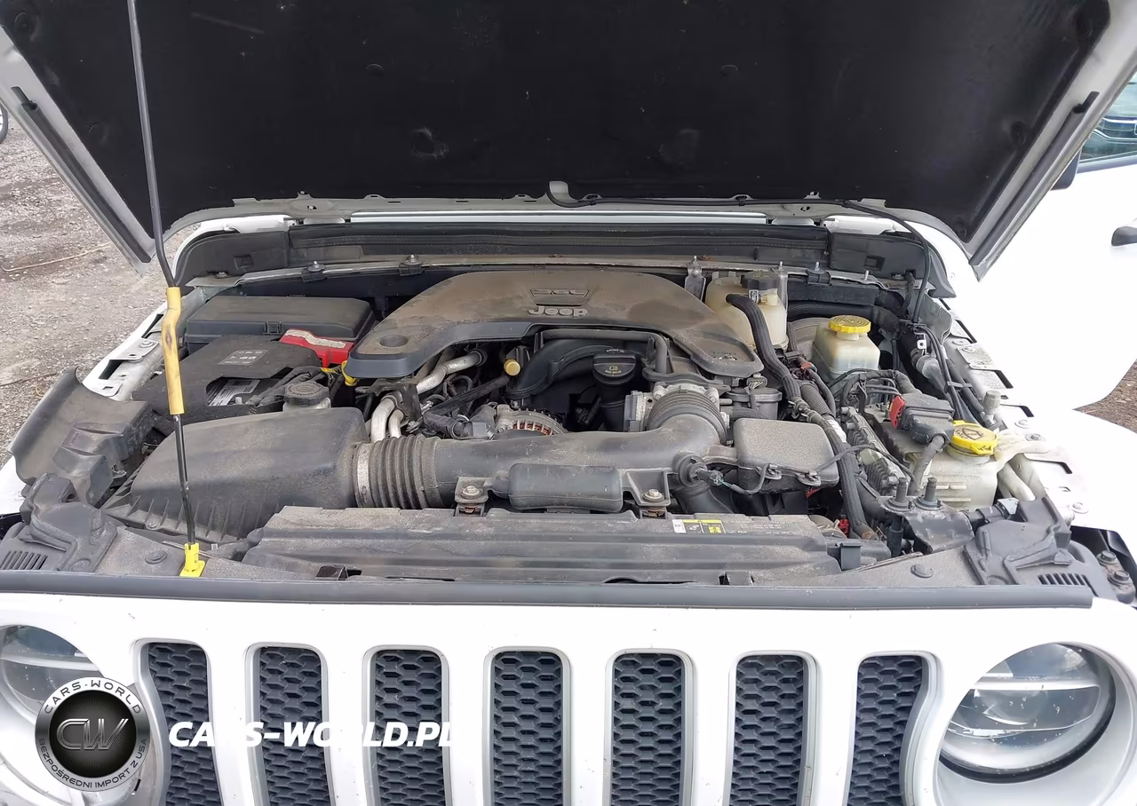 2019 Jeep Wrangler Unlimited Sahara 4X4 VIN:1C4HJXEG7KW661877 - 10