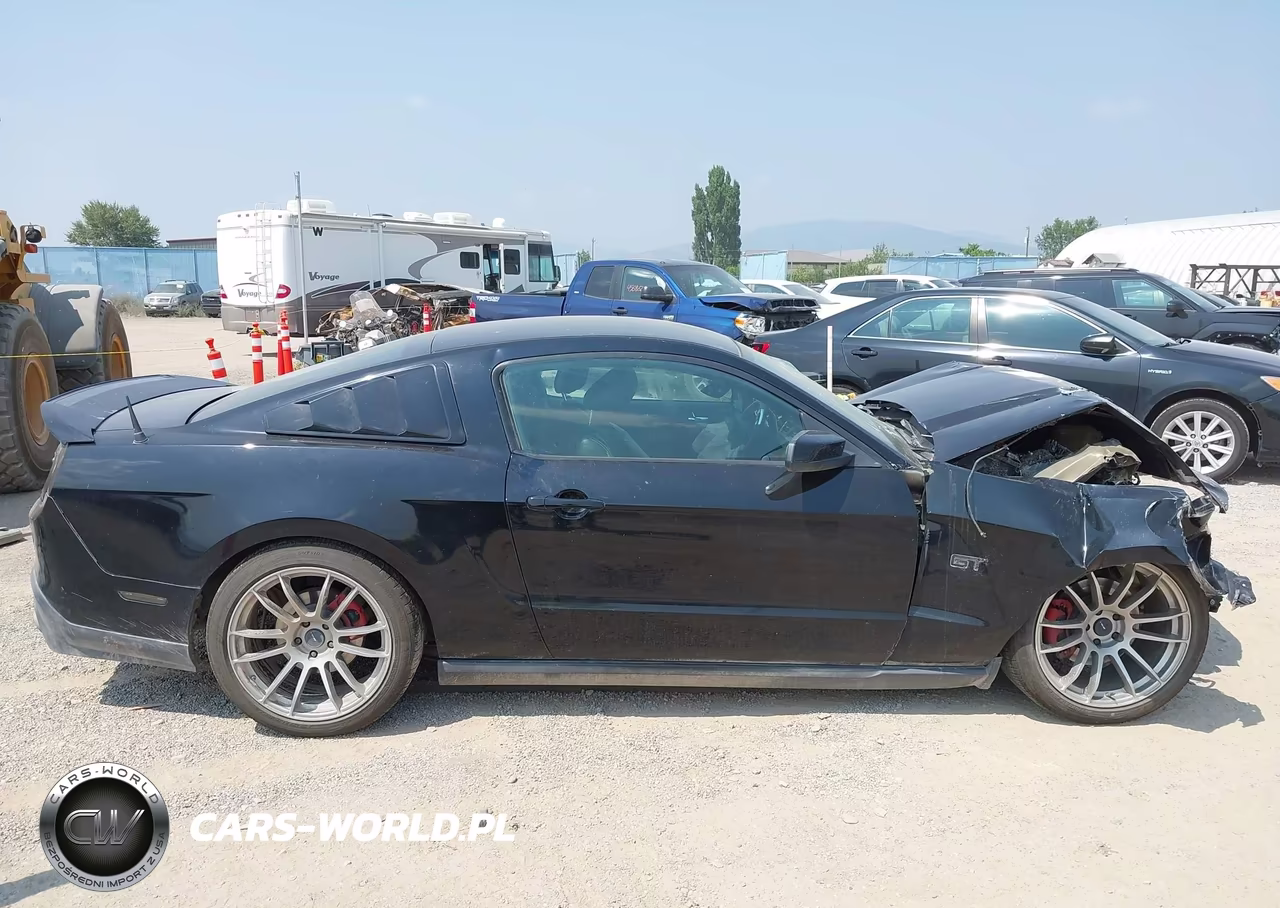 2010 Ford Mustang Gt-Gt Premium VIN:1ZVBP8CH9A5164725 - 14