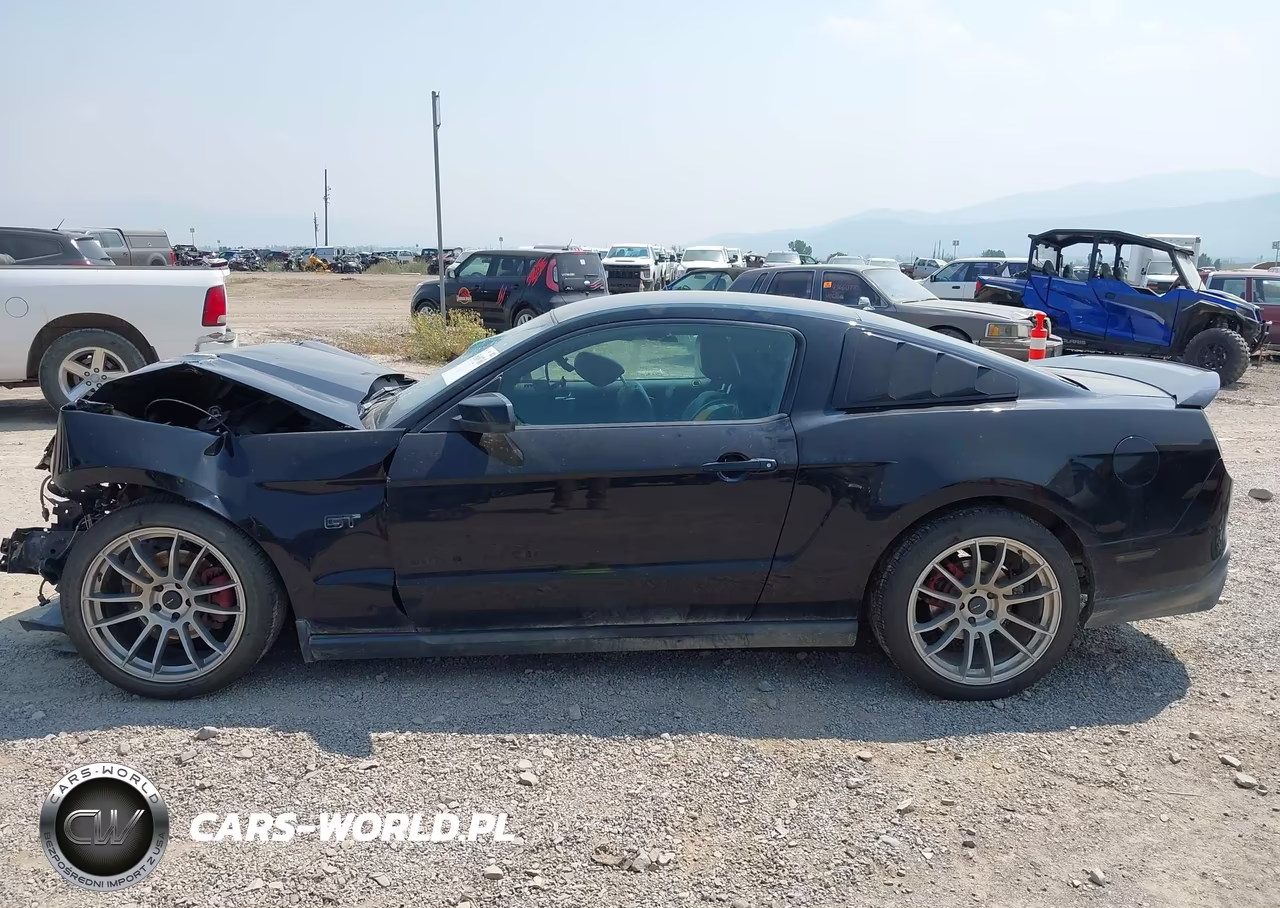 2010 Ford Mustang Gt-Gt Premium VIN:1ZVBP8CH9A5164725 - 15