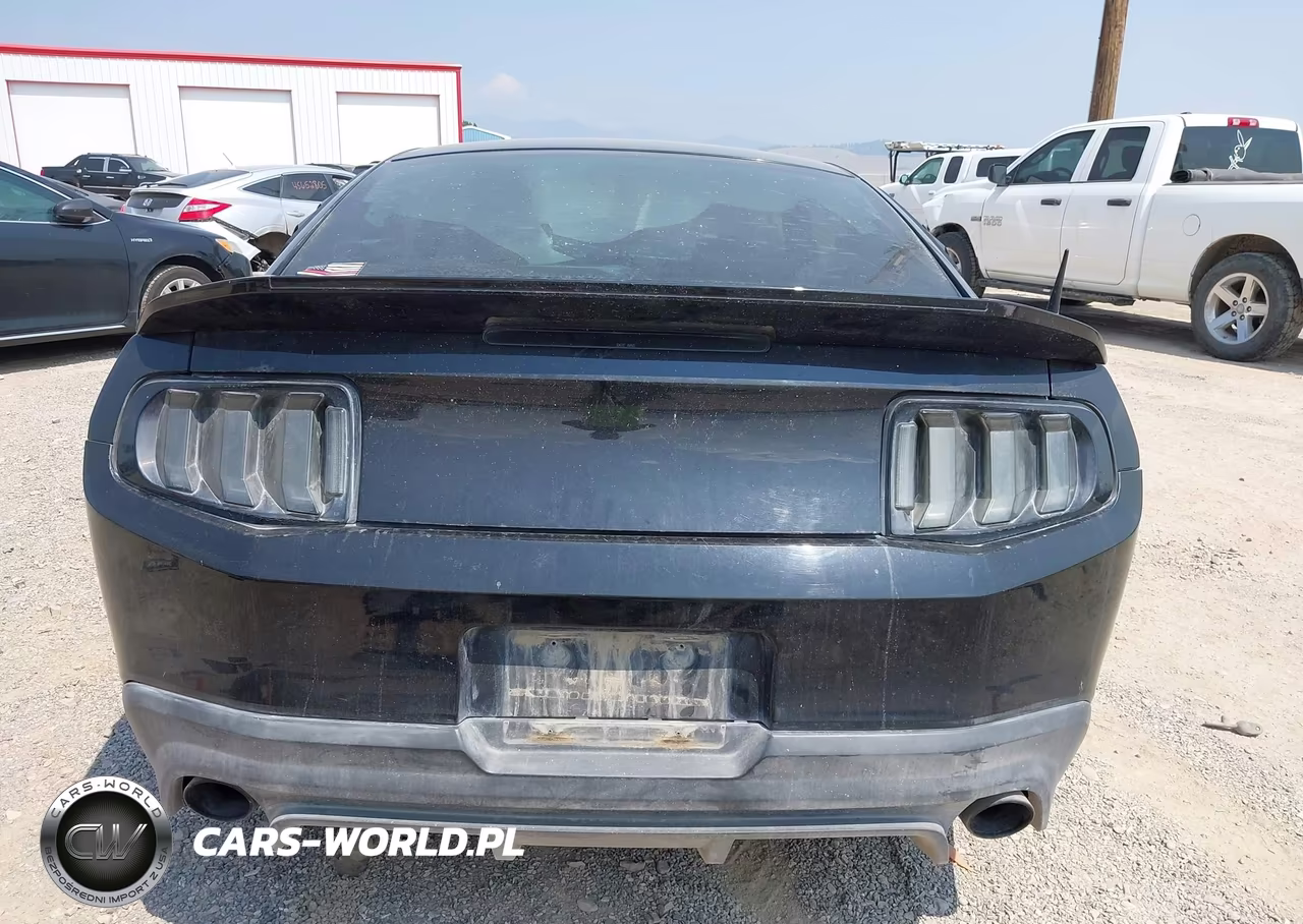 2010 Ford Mustang Gt-Gt Premium VIN:1ZVBP8CH9A5164725 - 17