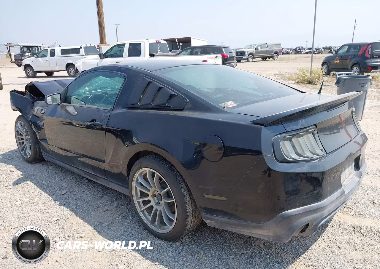 2010 Ford Mustang Gt-Gt Premium VIN:1ZVBP8CH9A5164725 - 3