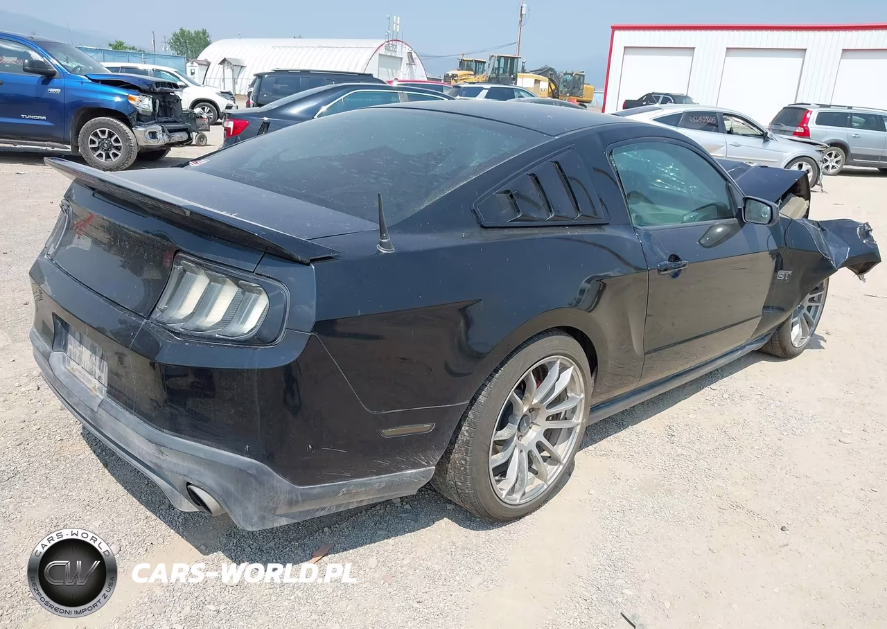 2010 Ford Mustang Gt-Gt Premium VIN:1ZVBP8CH9A5164725 - 4