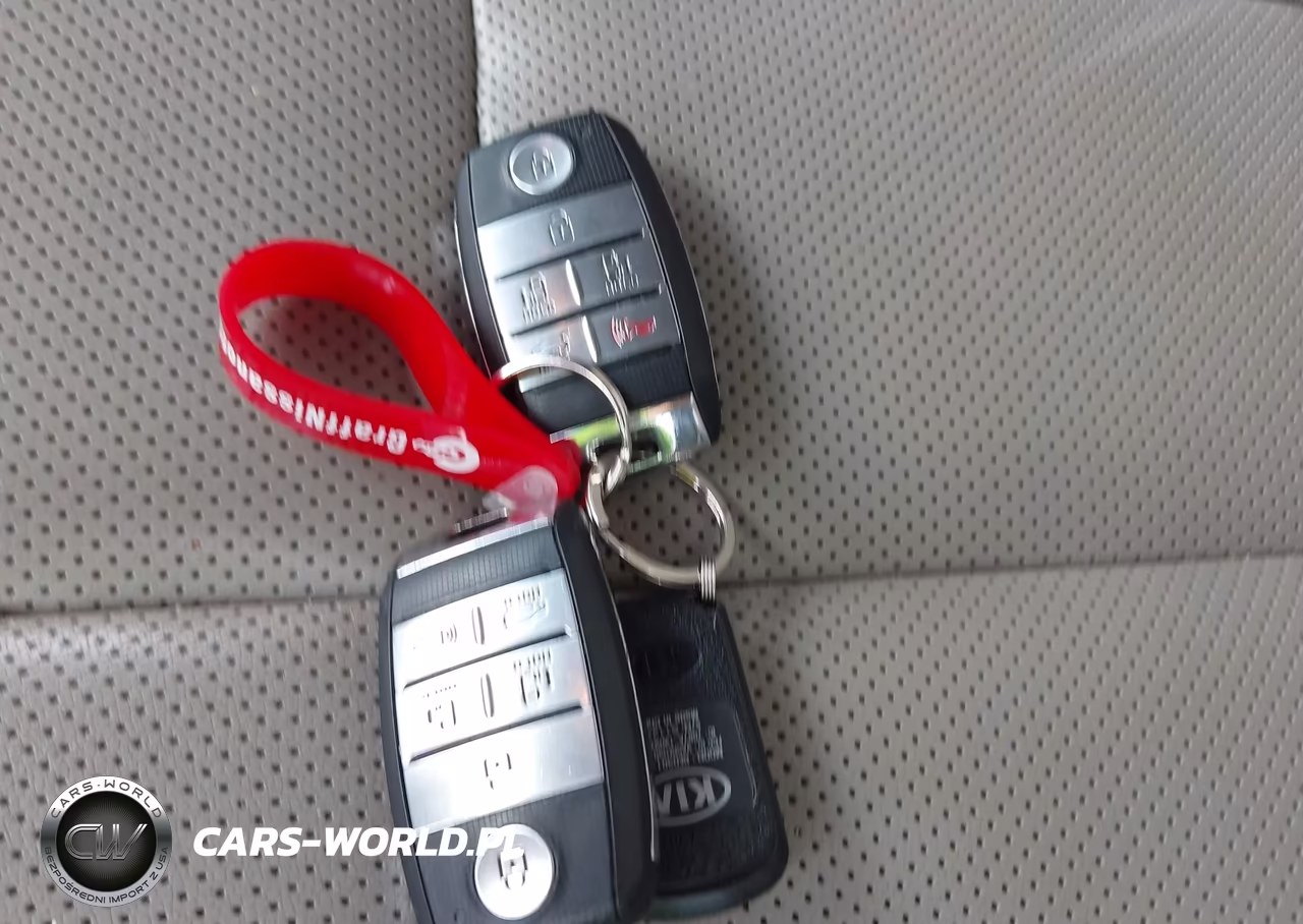 2017 Kia Sedona Sx Luxury VIN:KNDME5C12H6272000 - 11