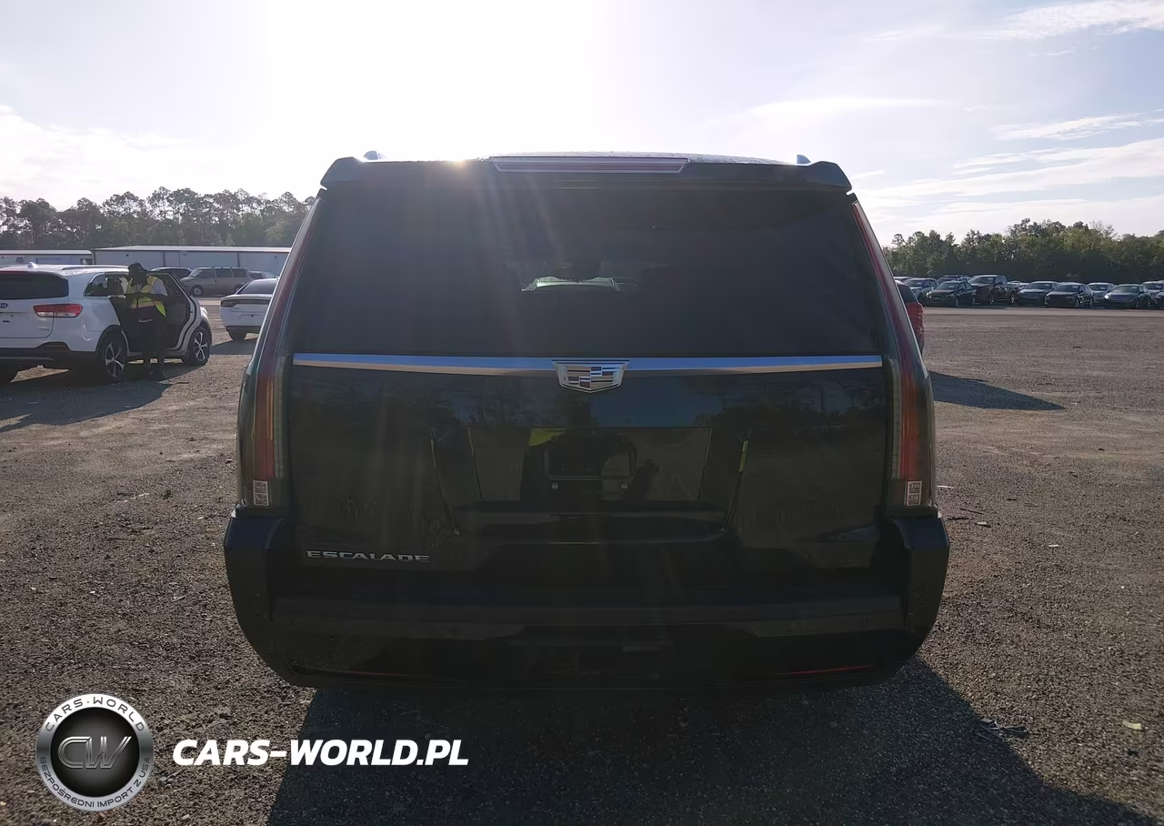 2017 Cadillac Escalade Esv Luxury VIN:1GYS3HKJ9HR235647 - 16