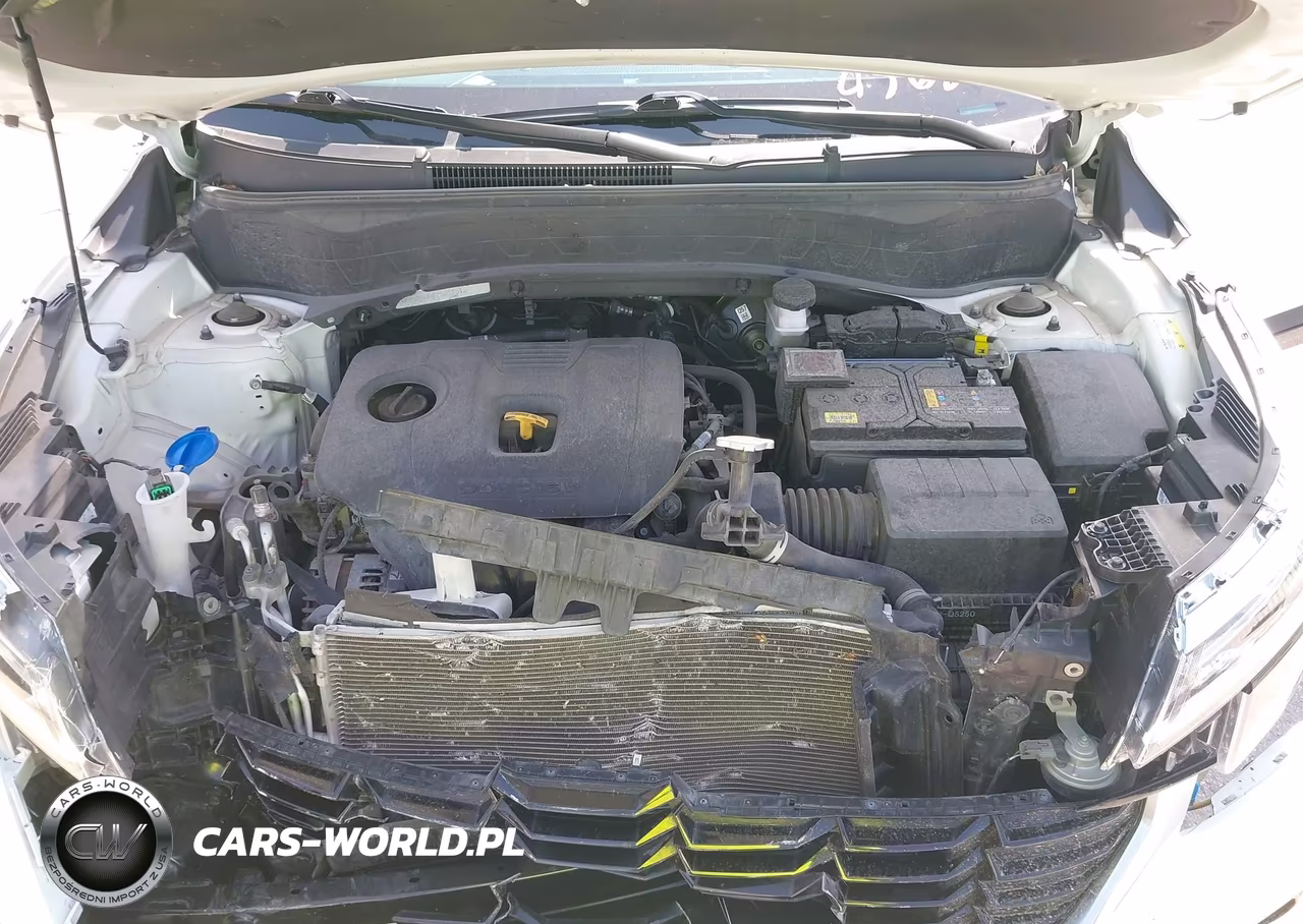 2024 Kia Seltos S VIN:KNDEU2AA9R7552761 - 10