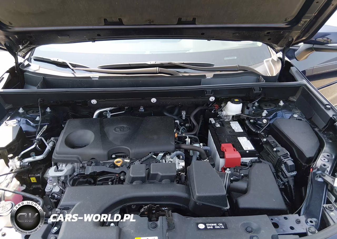 2024 Toyota Rav4 Xle VIN:2T3P1RFVXRW459399 - 10