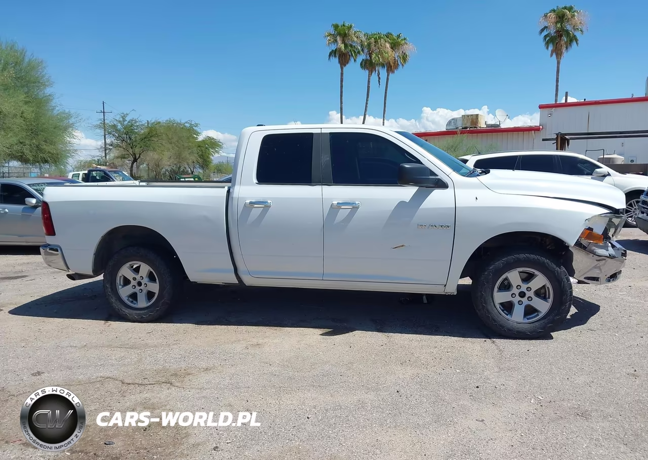 2010 Dodge Ram 1500 Slt-Sport-Trx VIN:1D7RV1GP3AS135891 - 13