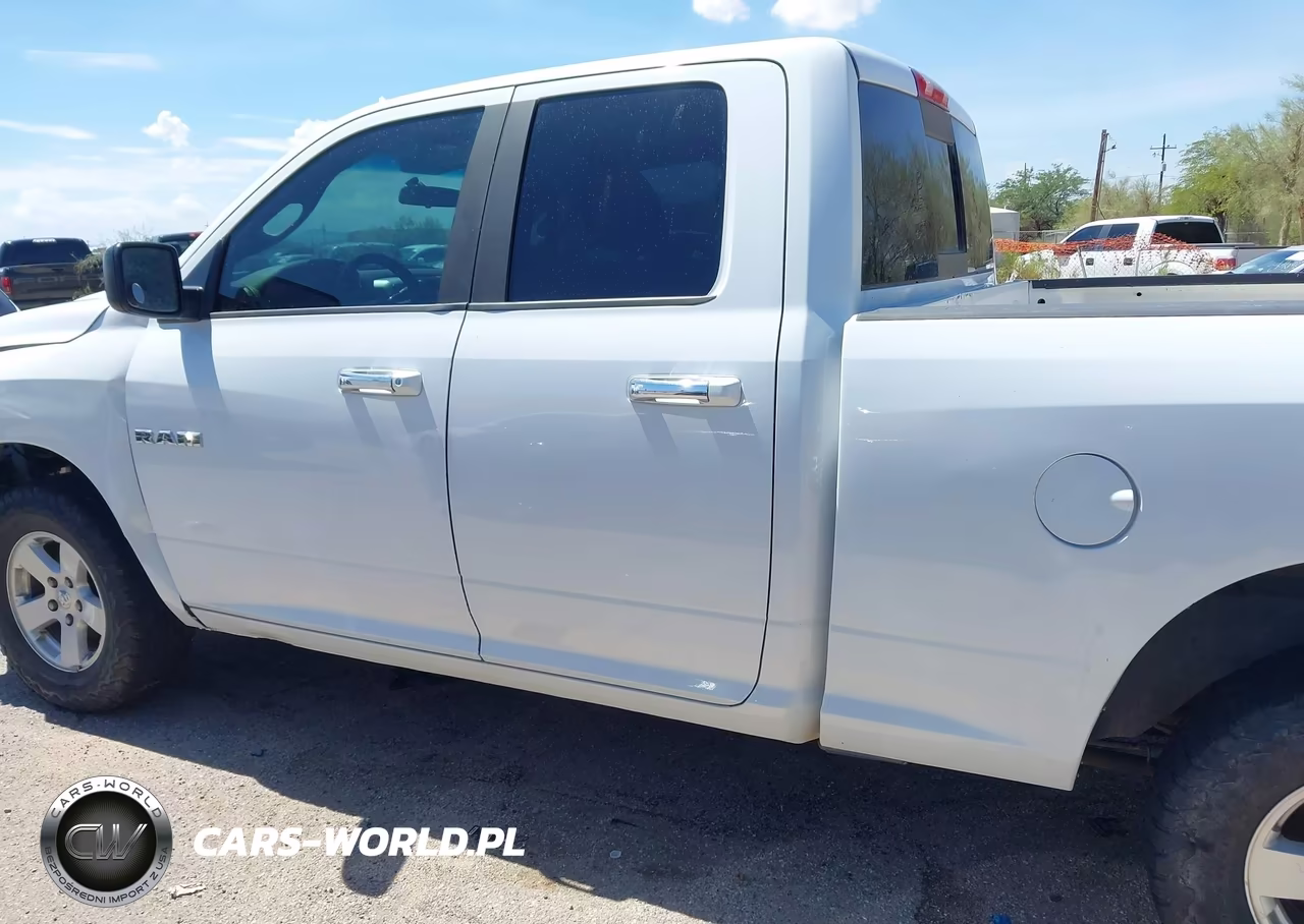 2010 Dodge Ram 1500 Slt-Sport-Trx VIN:1D7RV1GP3AS135891 - 14