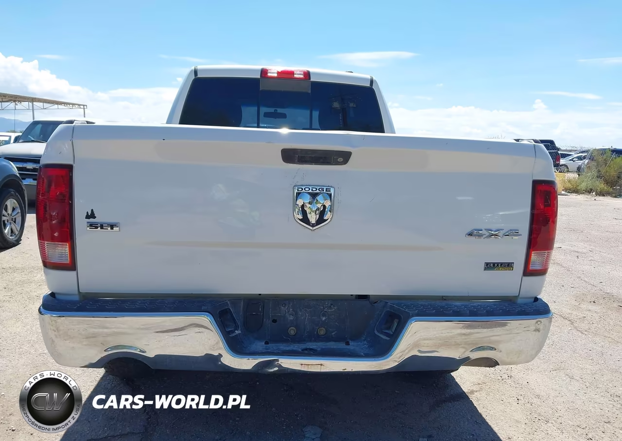 2010 Dodge Ram 1500 Slt-Sport-Trx VIN:1D7RV1GP3AS135891 - 16