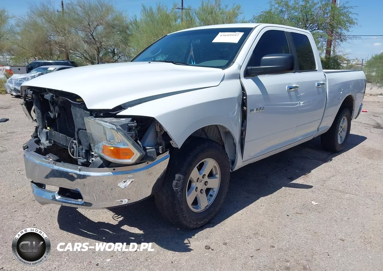 2010 Dodge Ram 1500 Slt-Sport-Trx VIN:1D7RV1GP3AS135891 - 2