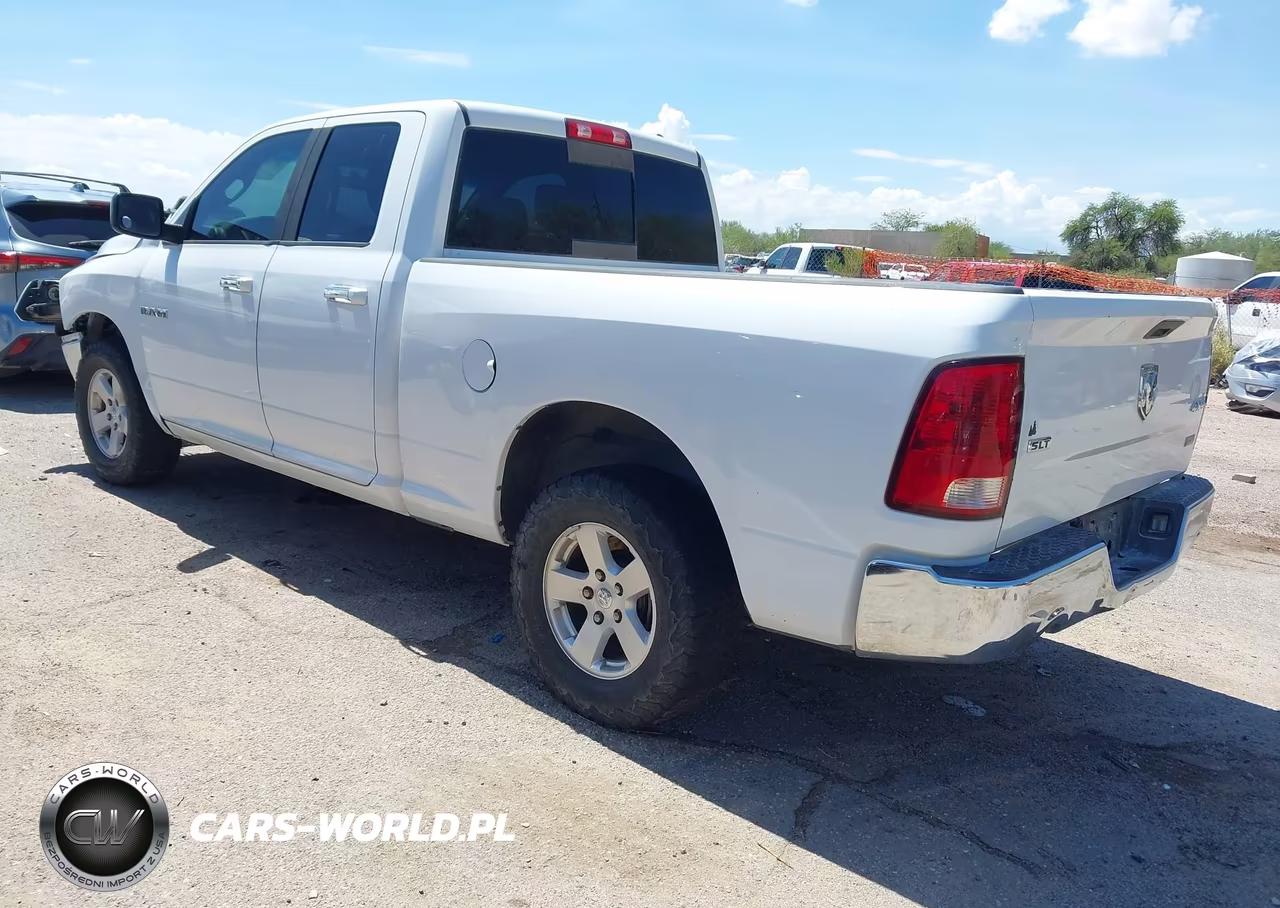 2010 Dodge Ram 1500 Slt-Sport-Trx VIN:1D7RV1GP3AS135891 - 3