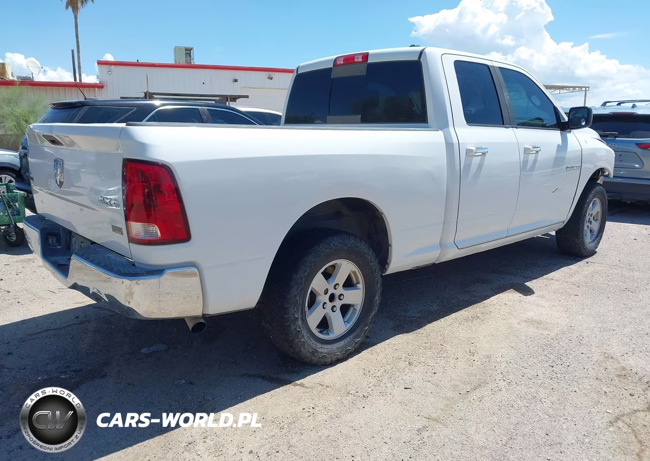 2010 Dodge Ram 1500 Slt-Sport-Trx VIN:1D7RV1GP3AS135891 - 4