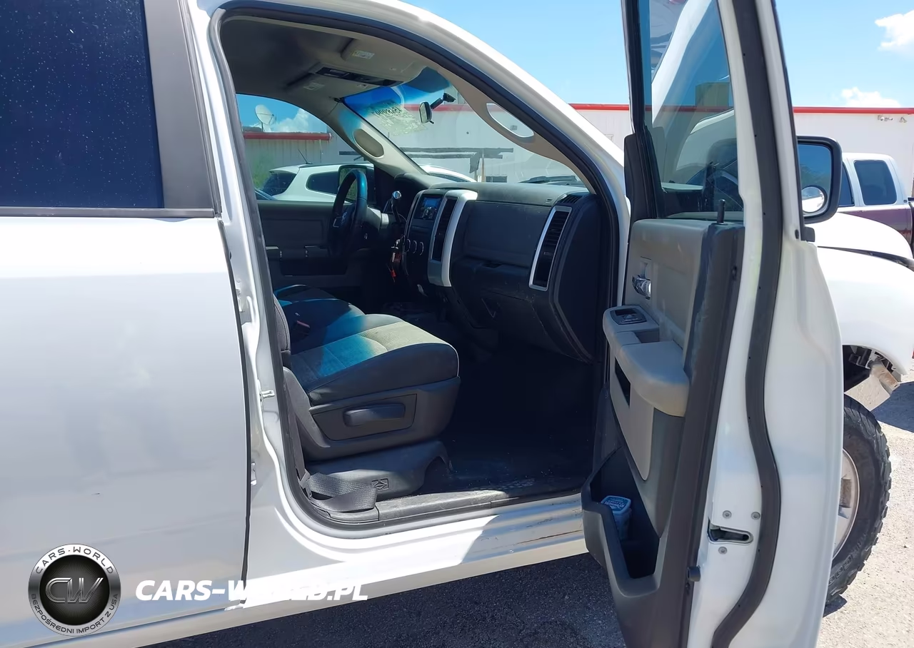 2010 Dodge Ram 1500 Slt-Sport-Trx VIN:1D7RV1GP3AS135891 - 5