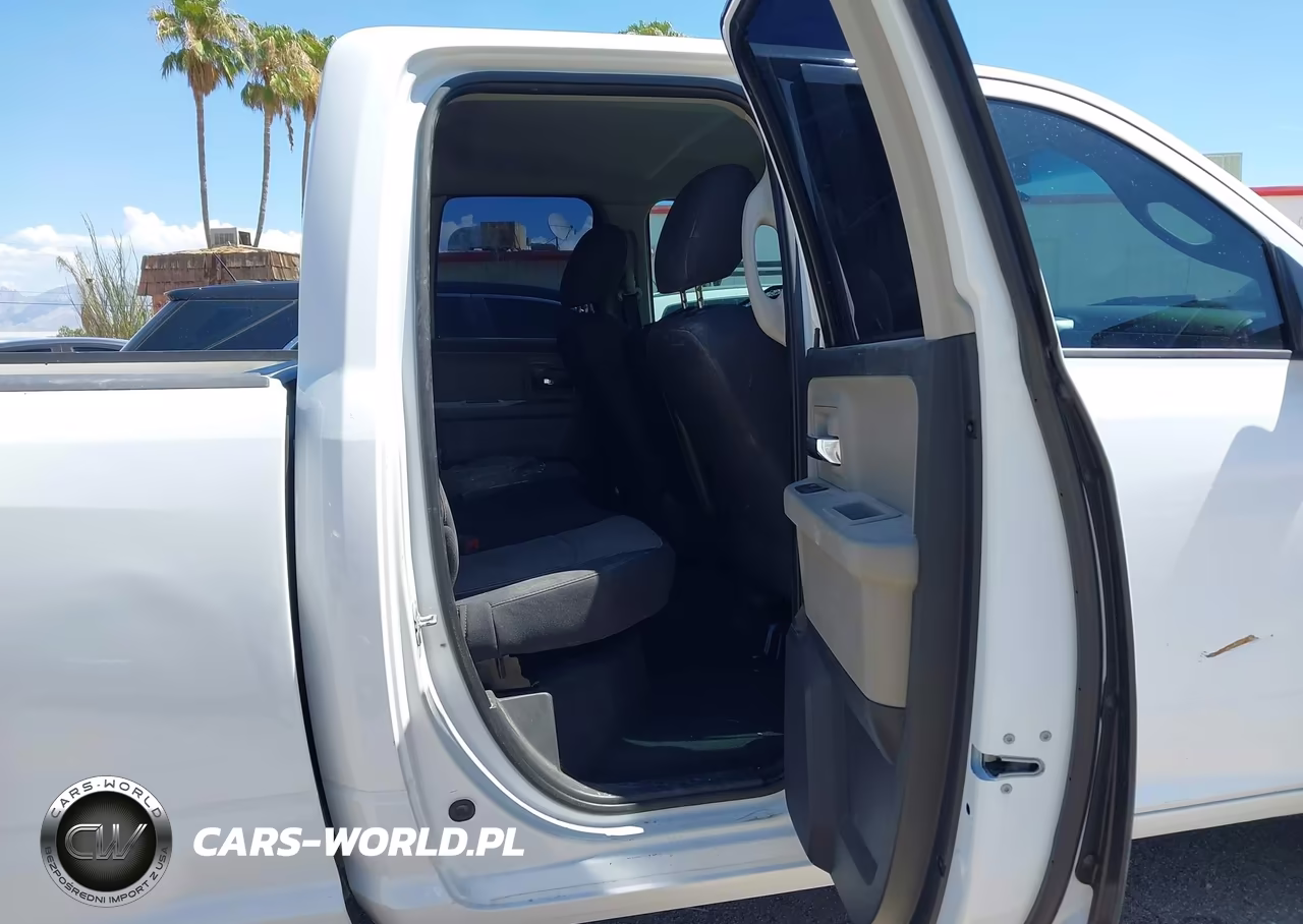 2010 Dodge Ram 1500 Slt-Sport-Trx VIN:1D7RV1GP3AS135891 - 8