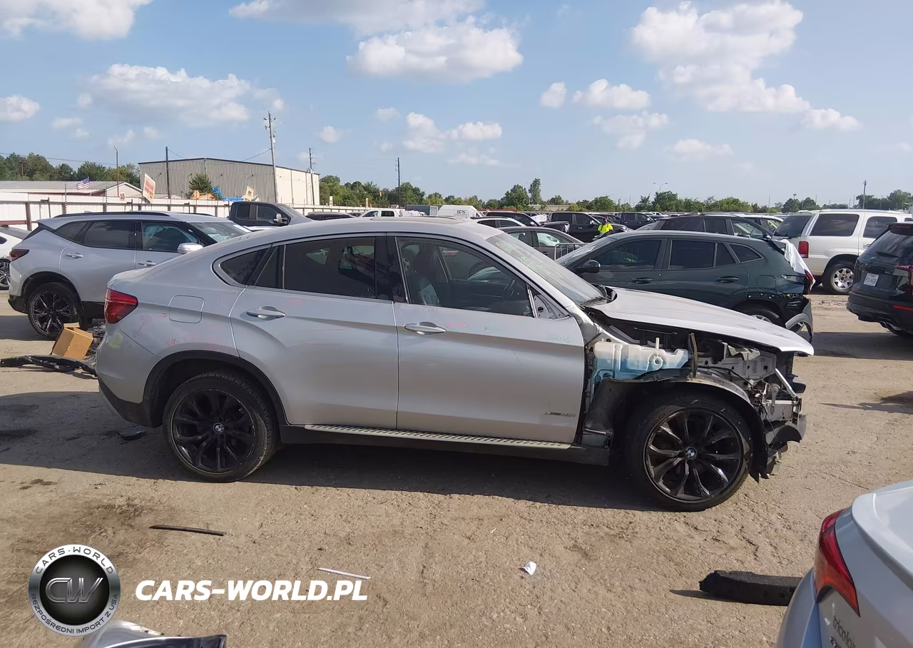 2016 BMW X6 xDrive35I VIN:5UXKU2C55G0N80810 - 13