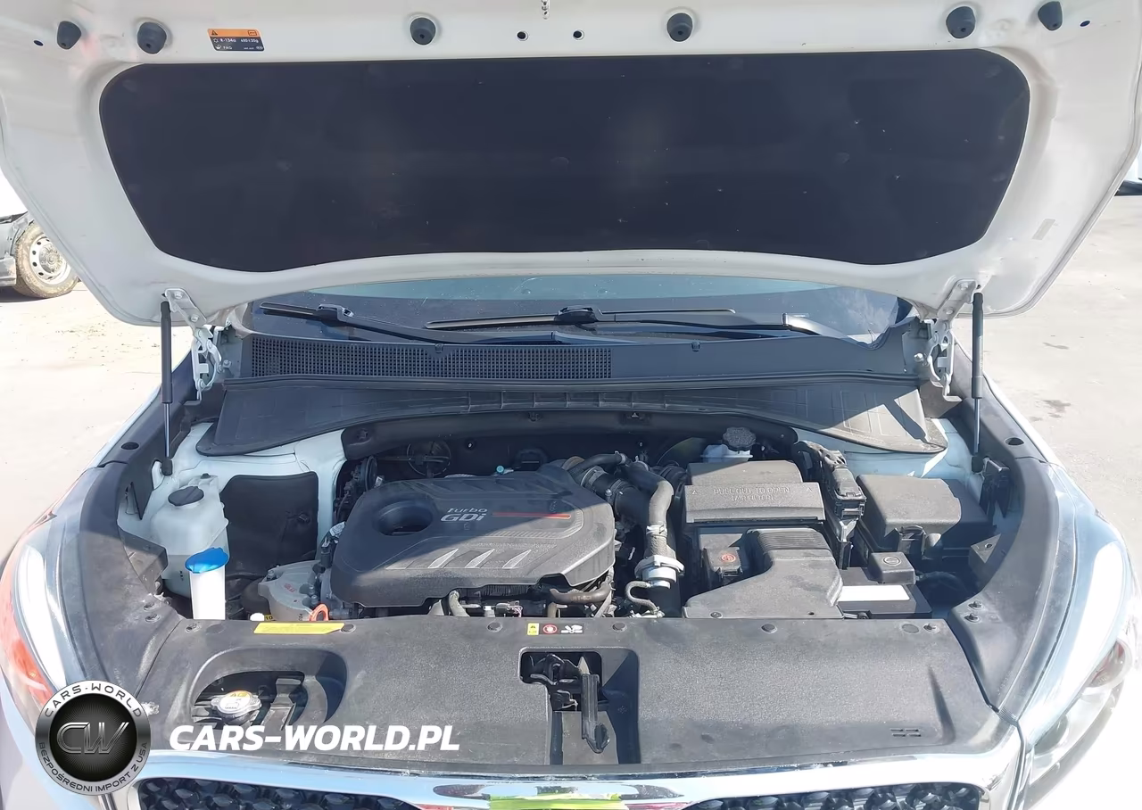 2017 Kia Sorento 2.0T Ex VIN:5XYPHDA18HG277667 - 10